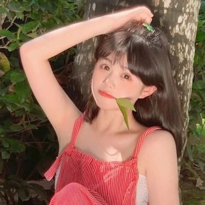冰雪传奇黑喵版下载